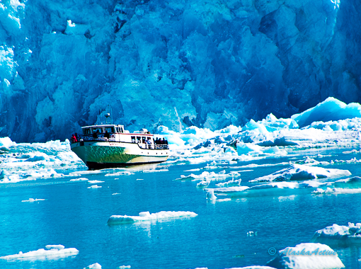 Tracy Arm Glacier Cruise